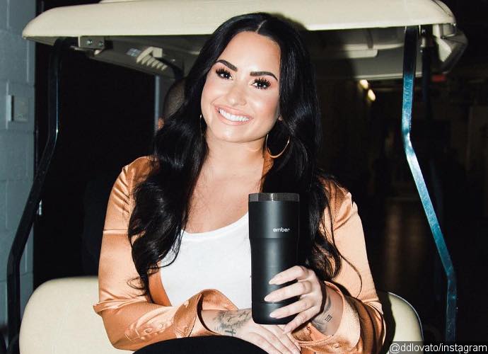 Demi Lovato Proudly Shows Off Cellulite, Stretch Marks and 'Extra Fat' in Touching Instagram Snaps
