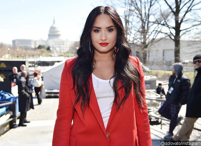 Demi Lovato Claps Back at Fan for Accusing Her of Breaking Sobriety