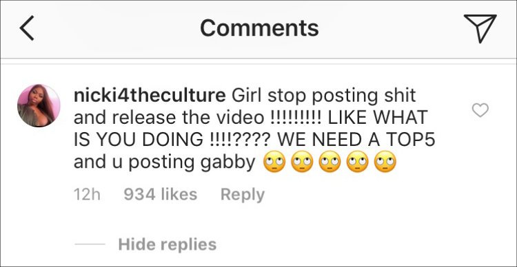 A fan criticizes Nicki Minaj on Instagram