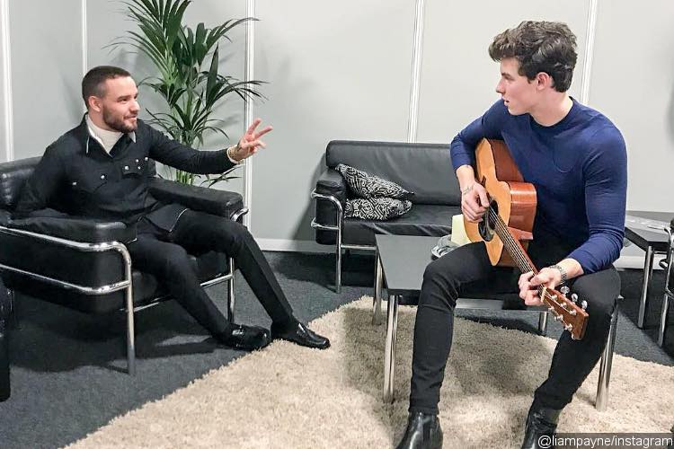 Liam Payne Wants to Help Shawn Mendes Avoid Pressures of Fame
