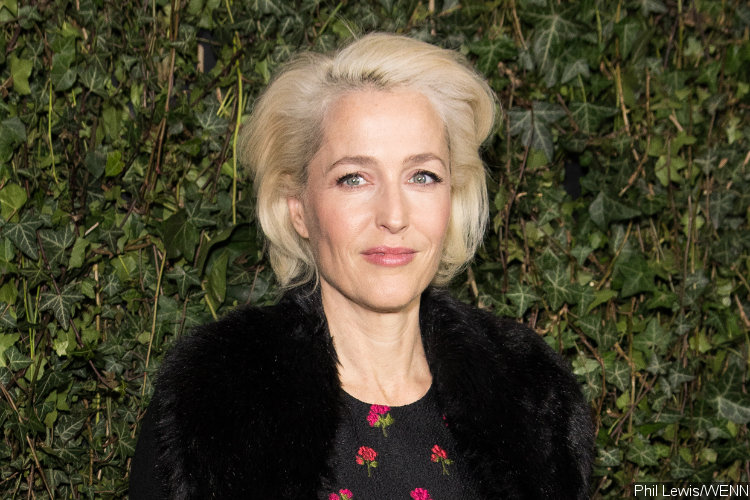 Gillian Anderson to Play Sex Therapist on 'Sex Education'
