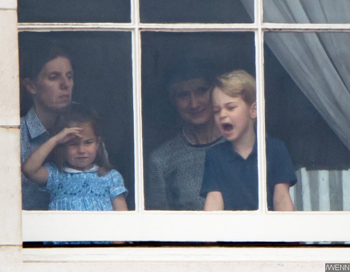 Prince George and Princess Charlotte Watch RAF Flypast