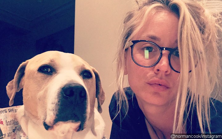 Kaley Cuoco Lauches Sock Designs Inspired By Her Dog