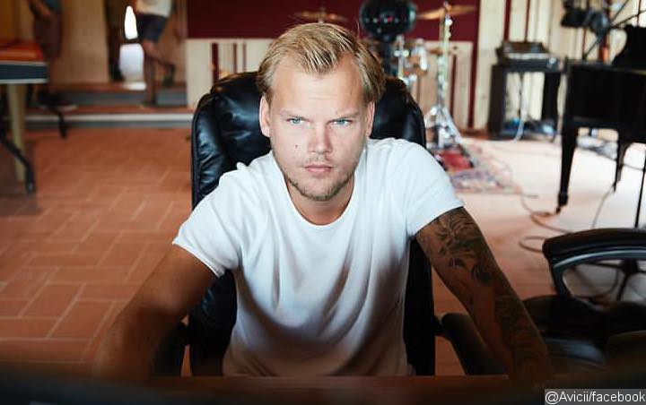 Avicii's Fans Angry at MTV Video Music Awards for Lack of Tribute to Late DJ