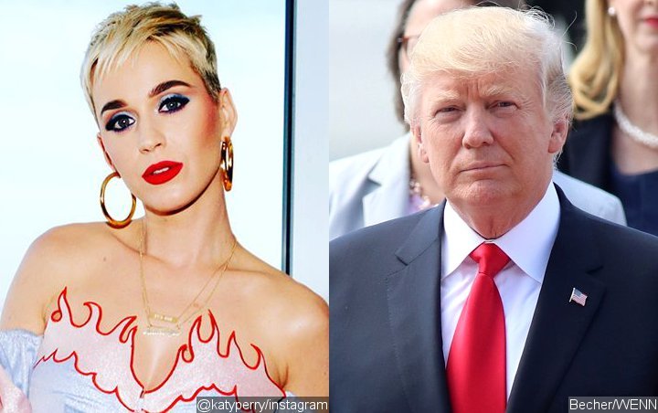 Katy Perry Deems Donald Trump Heartless for California Wildfires Response