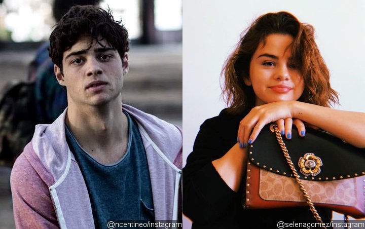 Is Noah Centineo Hitting on Selena Gomez With this Flirty Instagram Comment?