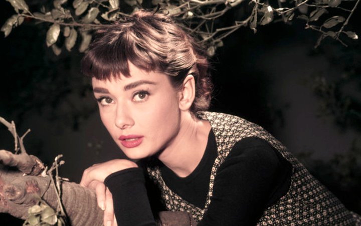 Audrey Hepburn's Son Working on TV Series About Her Formative Years
