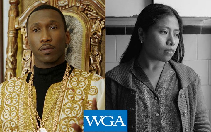2019 Writers Guild Awards: 'Green Book' Up Against 'Roma' in Screenplay Nomination