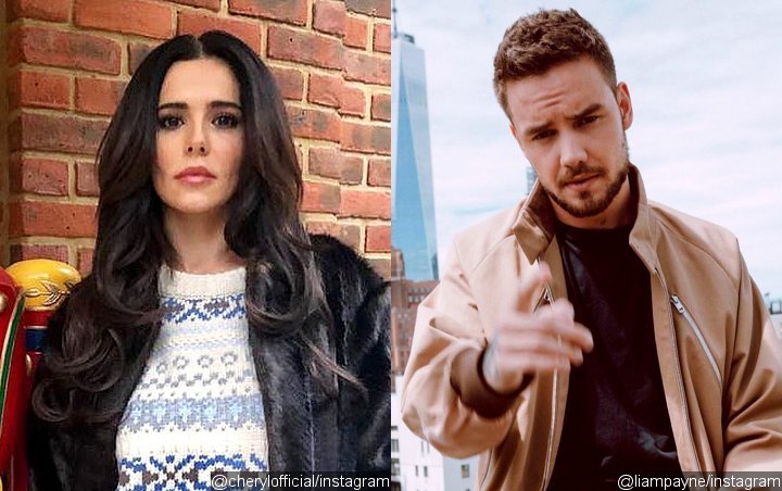 Cheryl Cole Describes Current Relationship With Liam Payne 'Healthy'