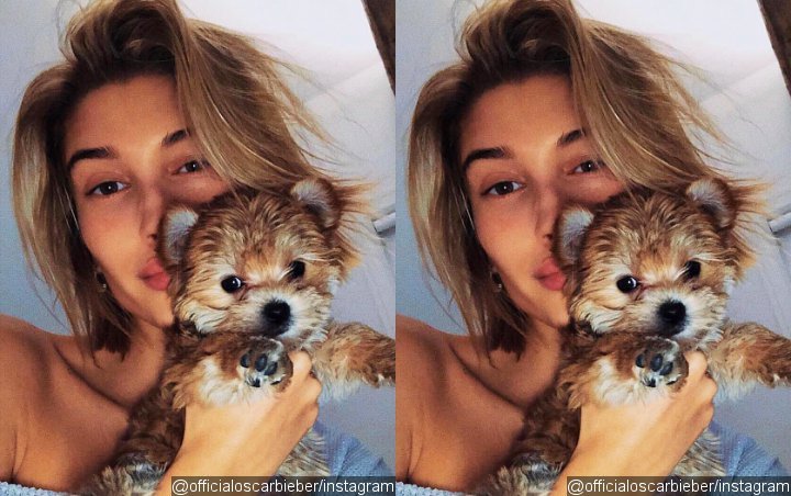 Fans Enraged After Hailey Baldwin Shares Video of Her 'Toy'-ing Her Dog