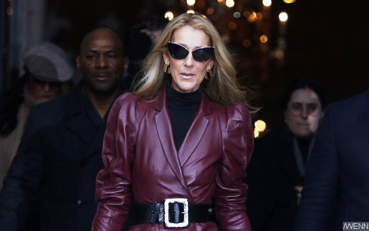 Celine Dion on Her Concerning Skinny Figure: I Want to Feel Fierce and Sexy