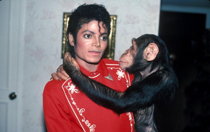 Keepers of Michael Jackson's Chimp Bubbles Think the Singer's Pic Will Upset Him