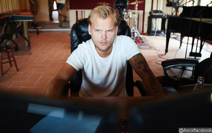Avicii's Father Starts to Accept DJ's Death as Suicide