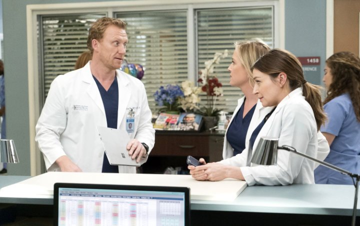 'Grey's Anatomy' Solidifies Itself as Longest-Running Medical Drama With 17 Seasons  