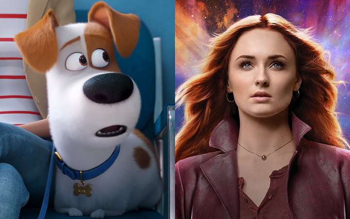 'The Secret Life of Pets 2' Outshines 'Dark Phoenix' in Opening Weekend at the Box Office 