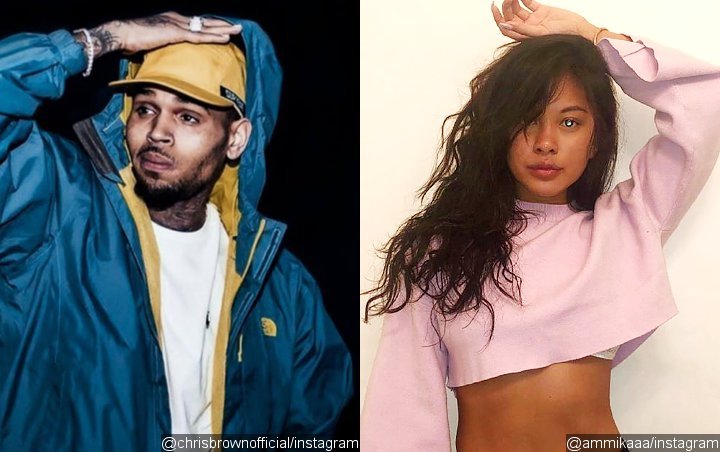 No Bun in the Oven? Chris Brown's Ex Ammika Harris Bares Flat Tummy Amid Pregnancy Rumors
