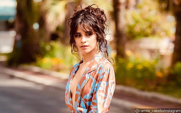 Camila Cabello Begs Fans to Stop Sending Hateful Messages After Matthew Hussey Split