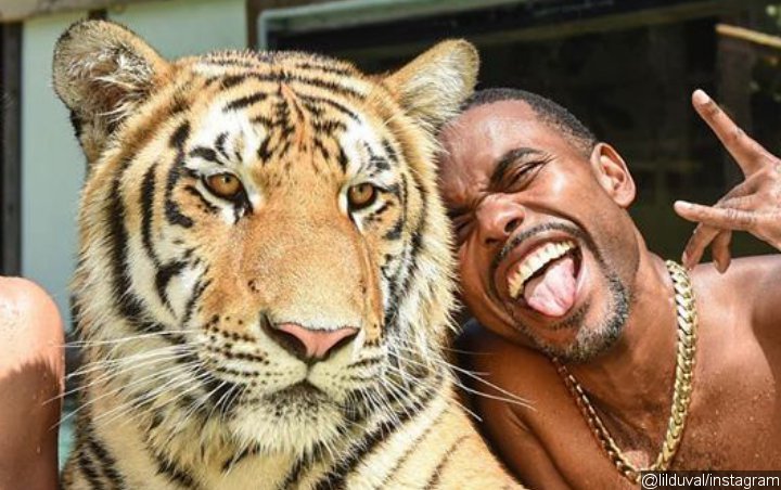 Video: Lil Duval Almost Has His Head 'Bitten Off' by Tiger