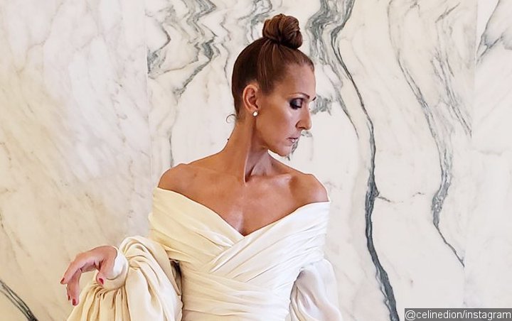 Celine Dion Accidentally Flashes Panties in Tiny White Dress in Paris