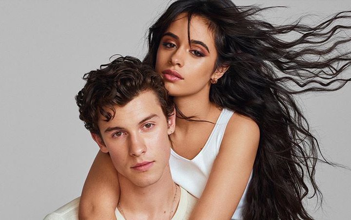 Shawn Mendes and Camila Cabello Add Fuel to Dating Rumors With Cuddling Videos in Tampa