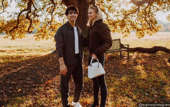 Joe Jonas and Sophie Turner Add New Puppy to Family After Death of Waldo