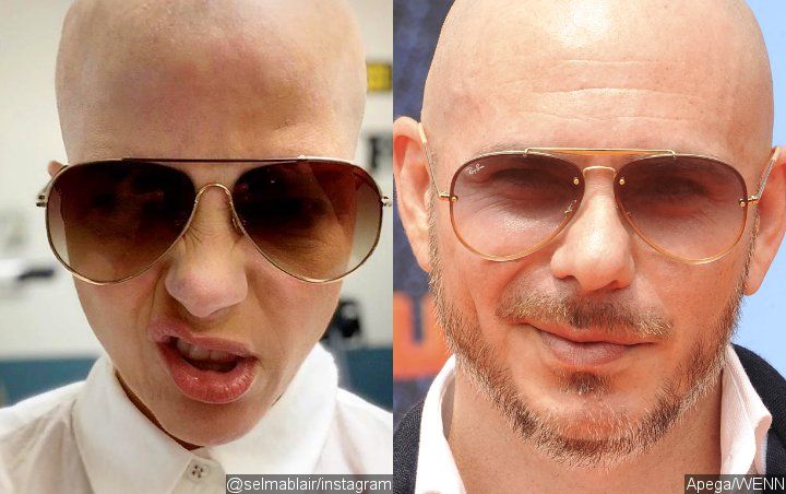 Selma Blair Likens Her Bald Look to Pitbull Amid MS Battle