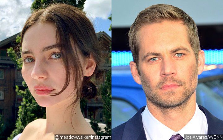 Paul Walker's Daughter Revives Memory of Late Actor With Rare Picture