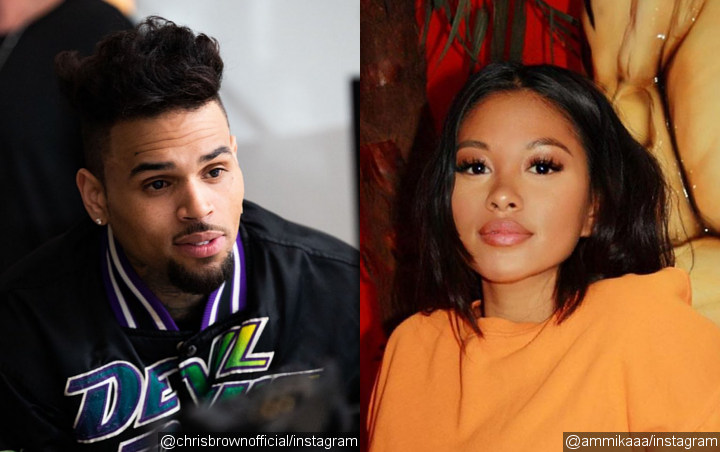 Chris Brown's Ex-GF Ammika Harris Shows Hint of Baby Bump Amid Pregnancy Rumors