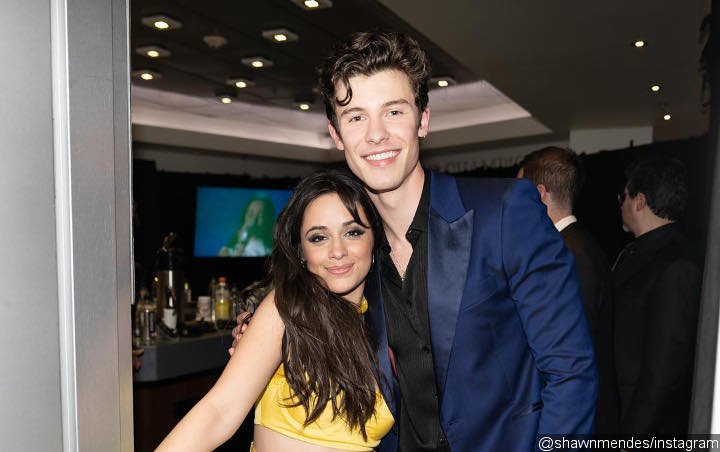 Camila Cabello Credits 'Senorita' for Reconnecting Her to Shawn Mendes 
