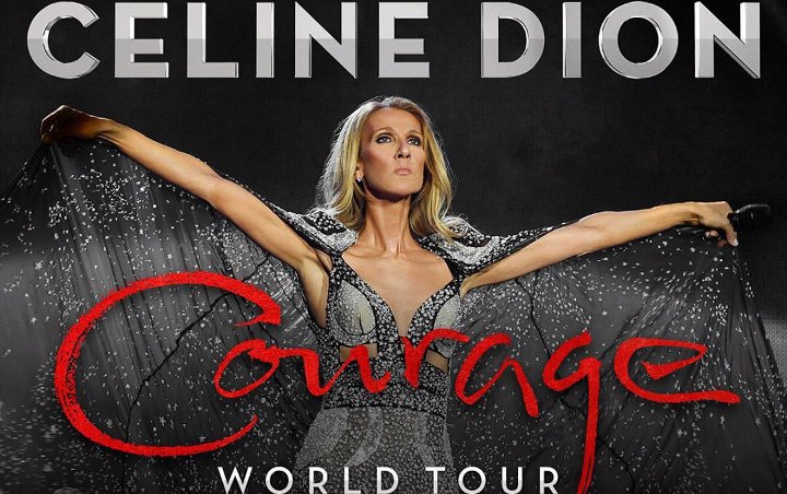 Celine Dion Postpones Four 'Courage World Tour' Shows to Rest Voice