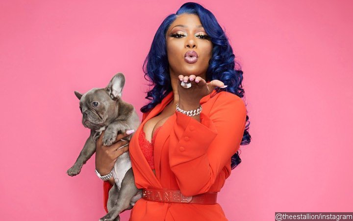 Megan Thee Stallion's Dog Disrespects Her by Peeing on Her BET Awards Dress