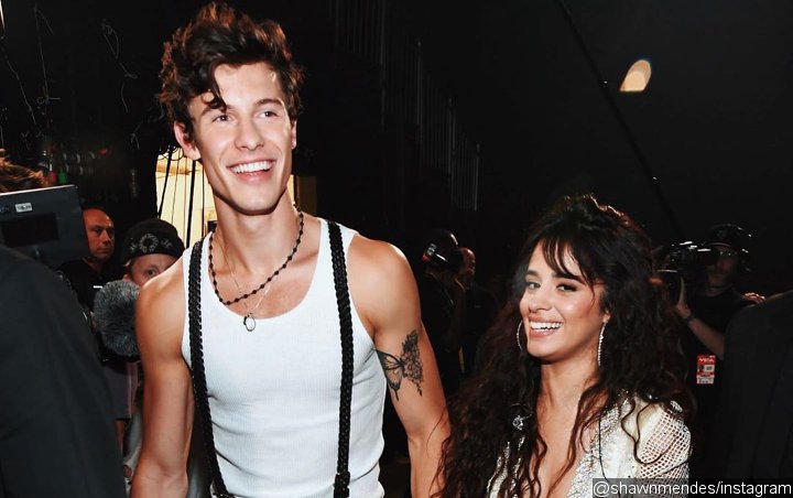 Camila Cabello Hilariously Debunks Shawn Mendes Split Rumors With This Post
