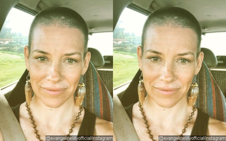 Evangeline Lilly Showered With Supports After Debuting Newly-Shaved Head