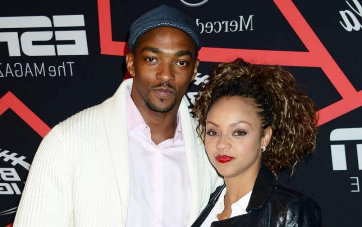 Anthony Mackie Has Quietly Divorced His Childhood Sweetheart