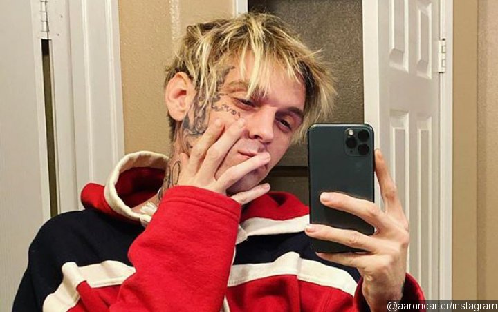 Aaron Carter Calls Out His Lying Family After Screaming at Judge for Being Told to Surrender Guns