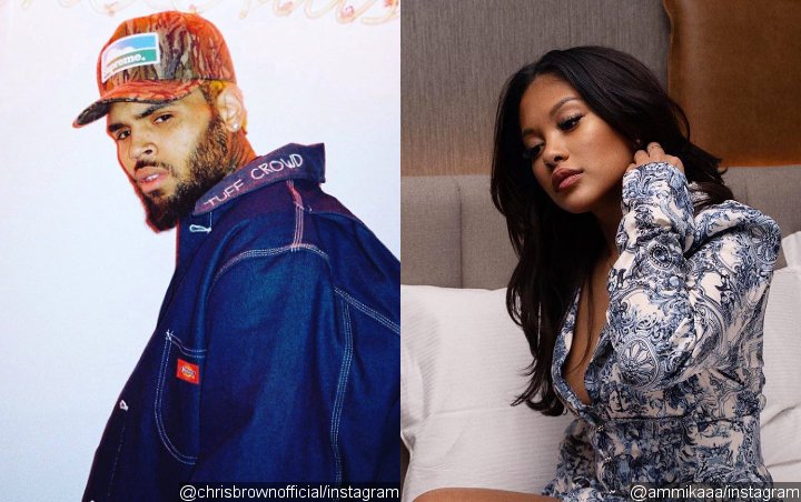 Fans Convinced Chris Brown and Ammika Harris Are Married Because of Their Matching Rings