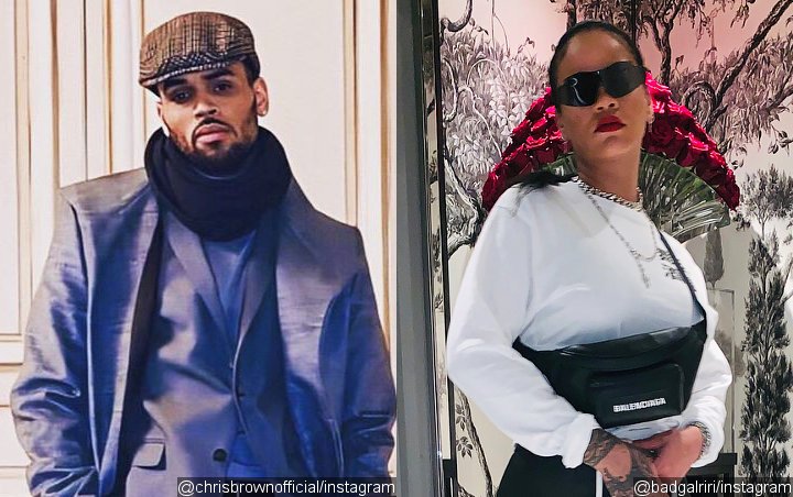 Chris Brown Accused of Being Obsessed With Rihanna After Professing Unconditional Love for 'Her'