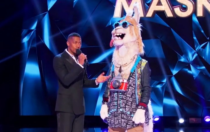 'The Masked Singer' Unmasks Llama - Find Out the Star Underneath the Costume
