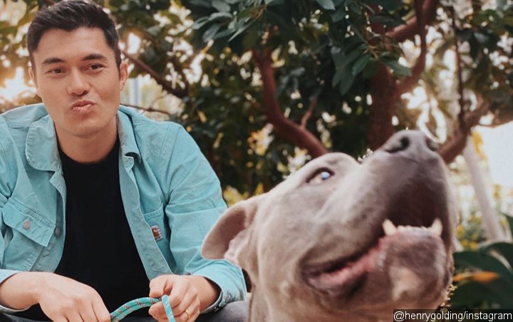Henry Golding's Foster Pit Bull Attacks Smaller Dog in the Park