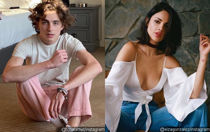 Timothee Chalamet and Eiza Gonzalez Spark Romance Rumors During PDA-Packed Mexico Vacay