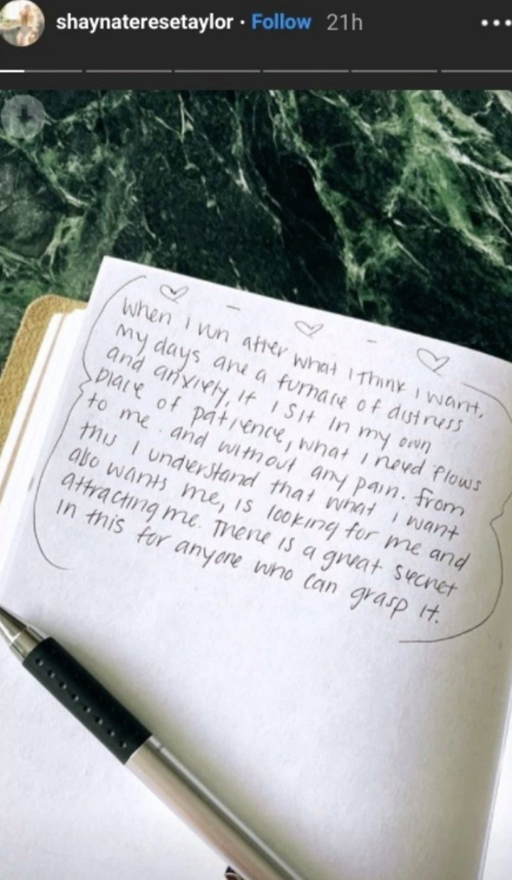 Shayna Taylor's Instagram Story Post After Ryan Seacrest Breakup