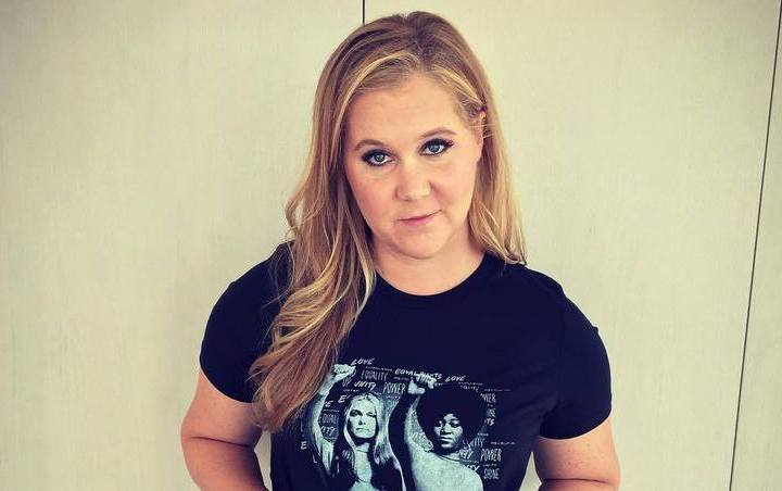 Amy Schumer Halts IVF Treatment as She Considers Surrogacy for Baby No. 2
