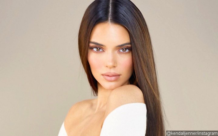 Kendall Jenner Shows Off Her Gold Tub and NSFW Piece of Art During Home Tour
