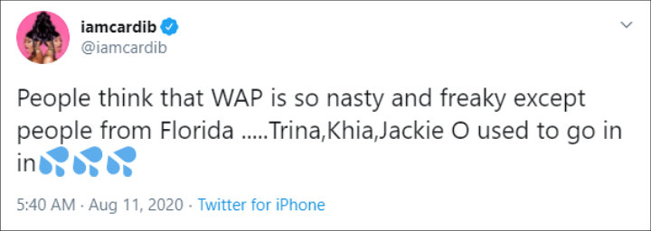 Cardi B defends WAP