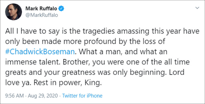 Mark Ruffalo Paid Tribute to Chadwick Boseman