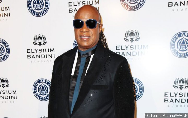 Stevie Wonder Marks Music Comeback With New Politically-Charged Songs - Listen! 