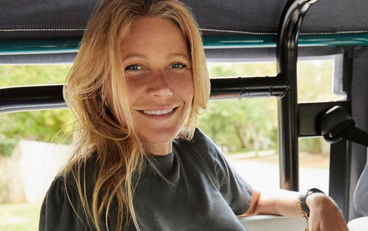 Gwyneth Paltrow's Holiday Gift Guide Includes Ouija Board and Toilet Paper