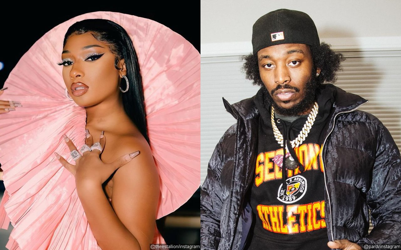 Megan Thee Stallion and Pardison Fontaine's Fight Allegedly Caught on Her Friend's IG Live