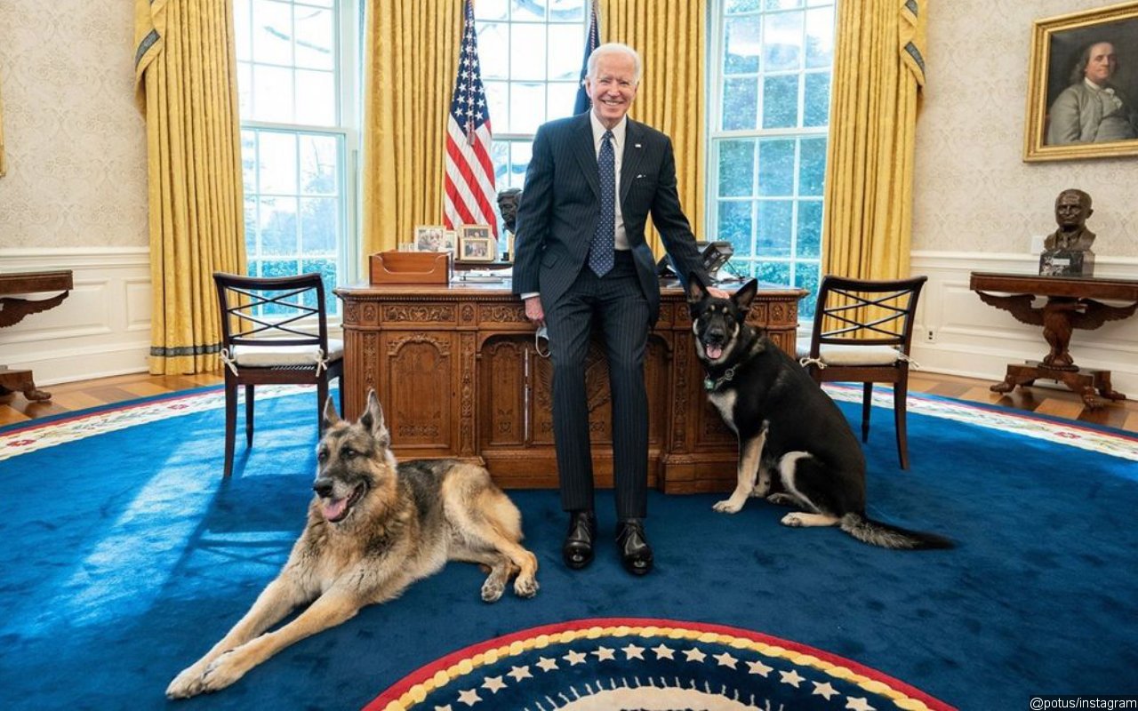 Joe Biden's Dogs Not Kicked Out of White House Due to Biting Incident