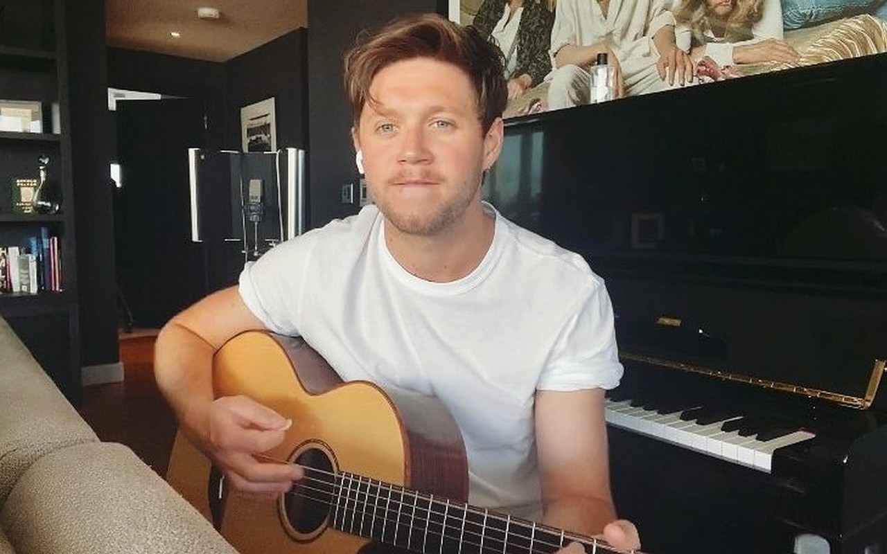 Man Arrested After Breaking Into Niall Horan's House for Second Time